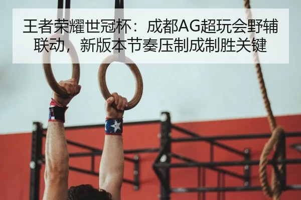王者荣耀世冠杯：成都AG超玩会野辅联动，新版本节奏压制成制胜关键